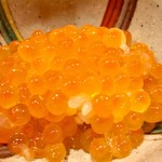 鮨 あらい - 生いくら