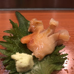 高鮨 - 韓国産 赤貝 肉厚で濃厚な味わいです