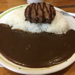 かれえてい - キャーーー！！！ハンバーグカレー特盛ぃ！！！
            辛口チョイスで￥870    だったと思う。
            
            ドロッとした具無しカレー。
            
            あーココはステンレス製のカレー皿じゃ無かったんだった・・・
            
            
            