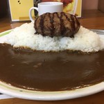 かれえてい - 本店の特盛は白飯700g。
            が、何故かココは500g。200も少ないのか・・・
            
            が、やや深めの平皿なんで、ルーの調整は不要な感じ。
            
            
            