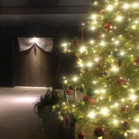 茶寮 宮坂 - 