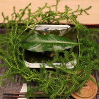 緒方 - 