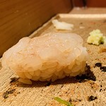 まんてん鮨 - 富山の白えび