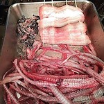 うなぎ屋酒坊・画荘 越後屋 - 