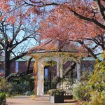 Cafe Anarchy Mama　 - 港の見える丘公園からあるいて１－２分