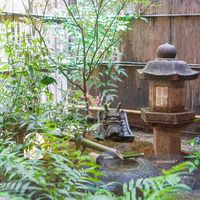 山玄茶 - 店内　坪庭