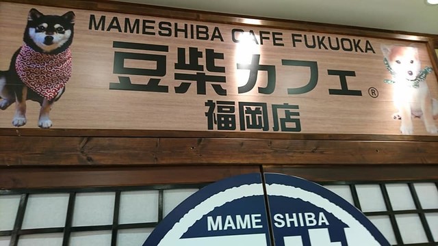閉店 豆柴カフェ 福岡店 Mameshiba Cafe 天神 その他 食べログ 閉店 豆柴カフェ 福岡店 Mameshiba Cafe 天神 その他 食べログ