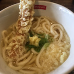 讃岐うどん 今雪 - かけうどん