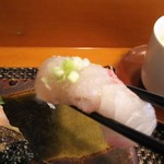 玄海鮨 - カンパチ です