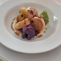 Benoit Alain Ducasse - 