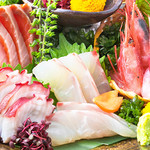 くいもの屋 わん 横浜西口駅前店