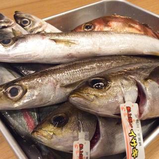 漁師さんから直接仕入れるお魚も勿論美味美味！
