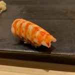 不動前 すし 岩澤 - 【車海老】◎2018/12