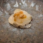 【白海老】★2018/12