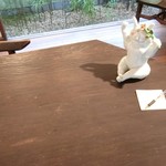 さらすわてぃ - ギャラリー