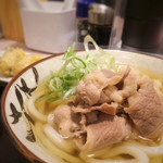Udon Sudachiya - 肉うどん