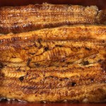 鰻はし本 - 鰻重