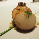 レフェルヴェソンス - 