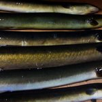 角喜鮨 - 自然湖の天然鰻　