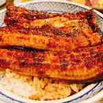 うなぎ専門店 本多 - うなぎ丼