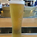Peroni Bar - Peroni beer $12.0