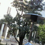 エメ・ヴィベール - 