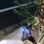 OSTERIA dieci - エントランス前に・・