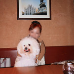 OSTERIA dieci - ミラノでの時間が甦ります