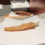 にい留 - 人参  あま〜い♡