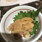 居酒屋ナルミ食堂 - 