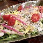 海遊山楽ゆう 飯田橋店 - じゃこと長芋のハリハリサラダ