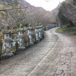 すずめ庵 - 灯篭沢山あるよね
