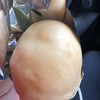 松和堂菓子舗