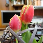 家庭料理 小川 - 