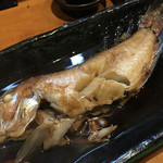 居食屋 わいるどふぁーむ  - 