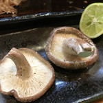 居食屋 わいるどふぁーむ  - 