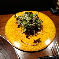 TACUBO - 