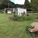友浦サイト - 素敵な庭