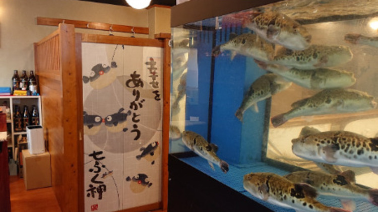 泳ぎふぐ専門 ふぐ吉