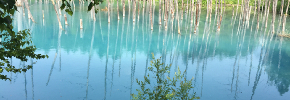 レビュアーのカバー画像