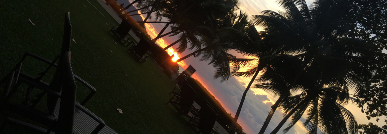 レビュアーのカバー画像