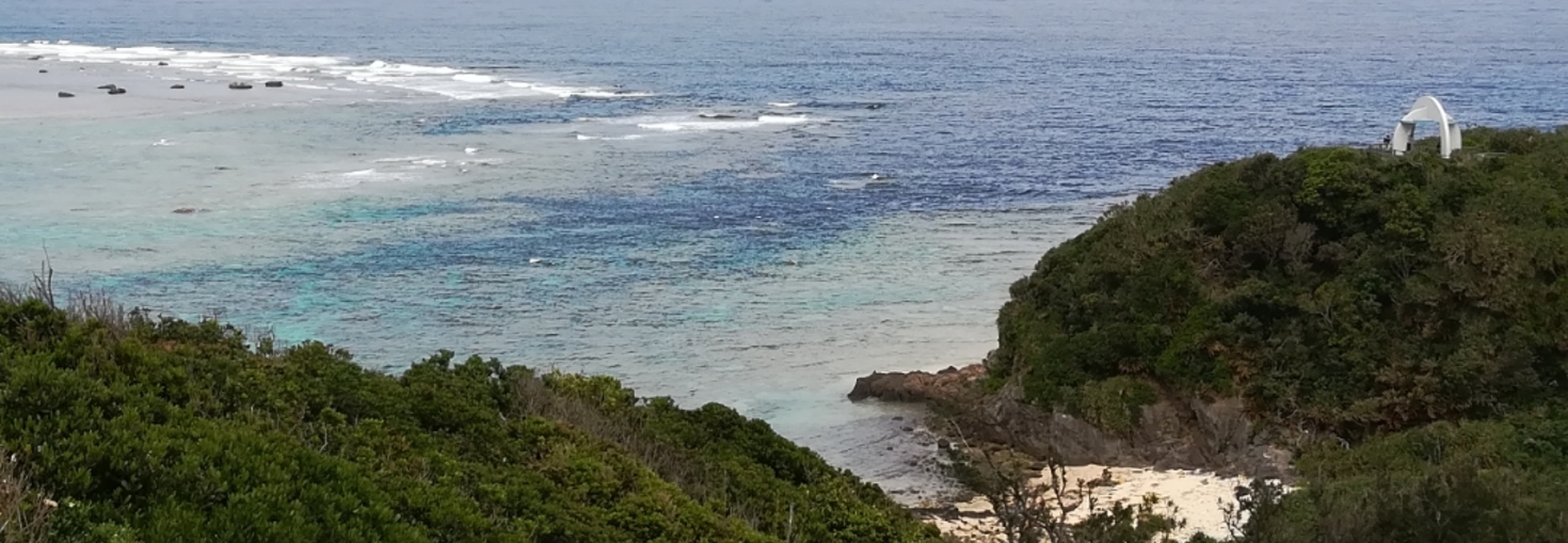 レビュアーのカバー画像