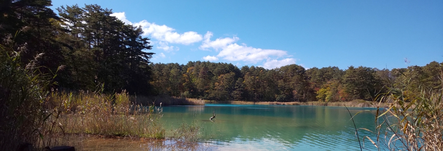 レビュアーのカバー画像