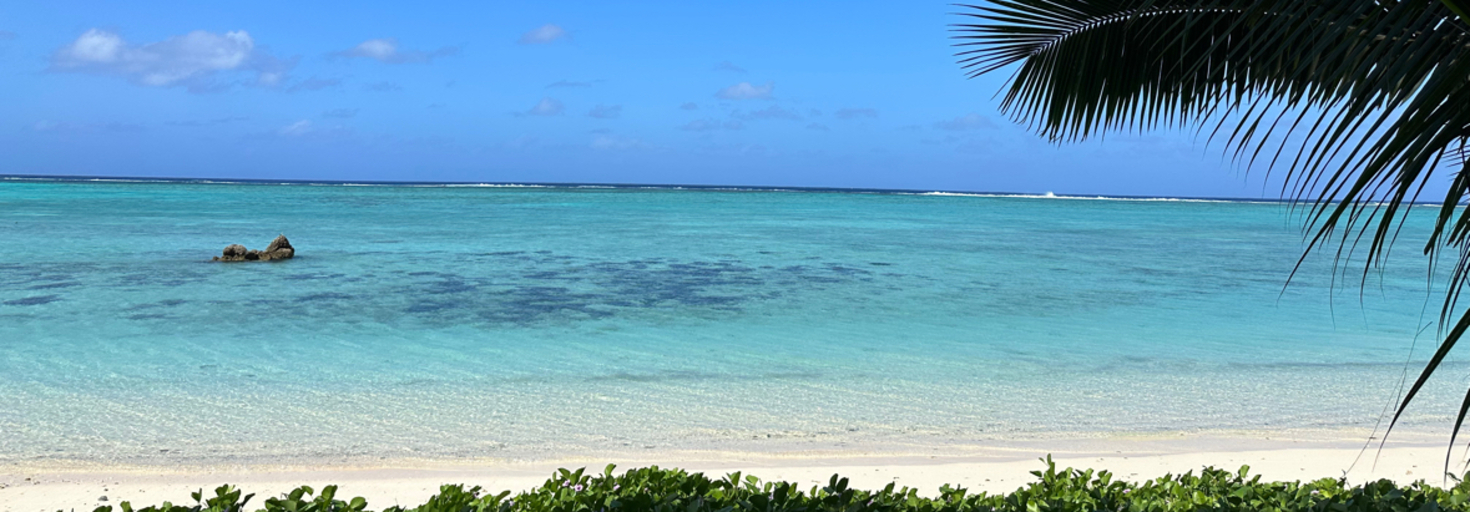 レビュアーのカバー画像