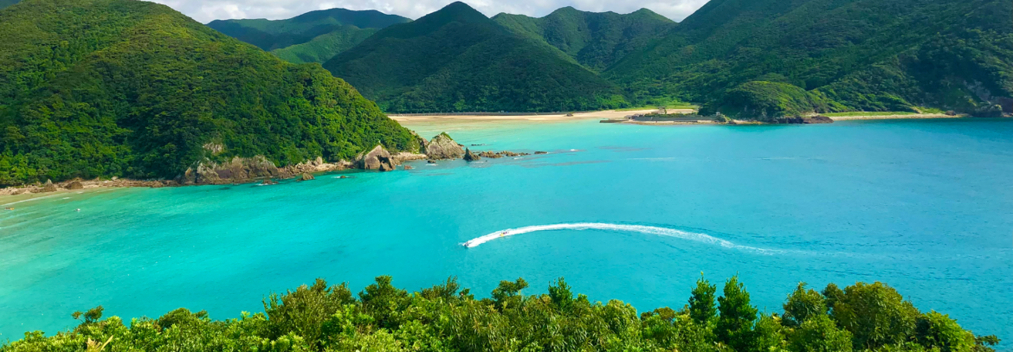 レビュアーのカバー画像