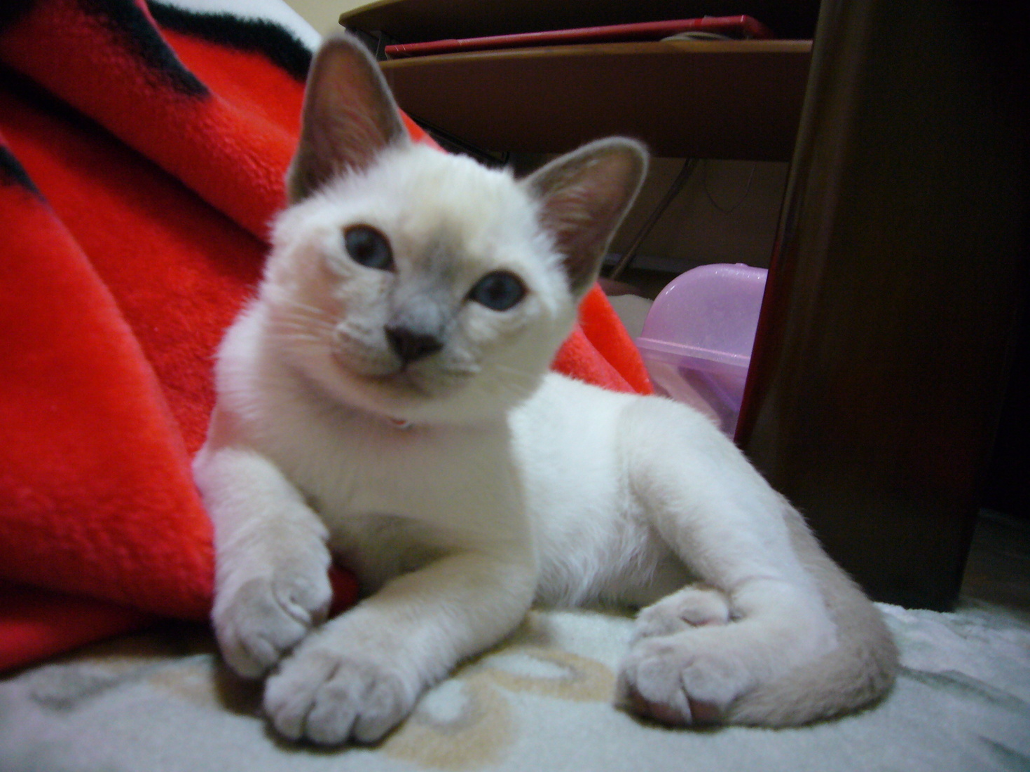 レビュアーのカバー画像