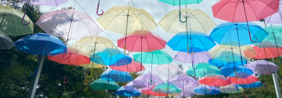 レビュアーのカバー画像