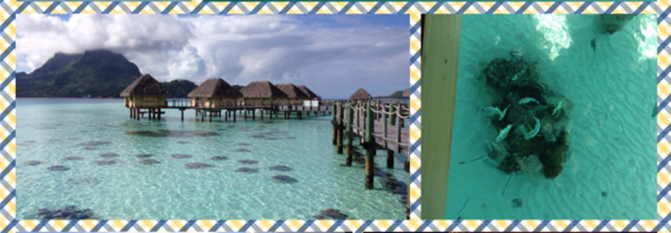 レビュアーのカバー画像