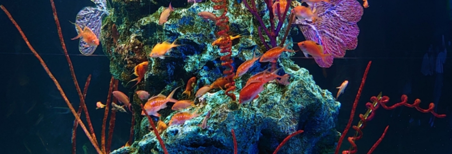 レビュアーのカバー画像