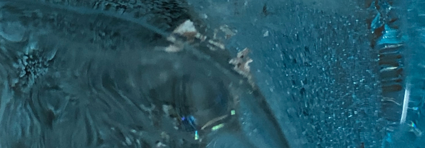 レビュアーのカバー画像